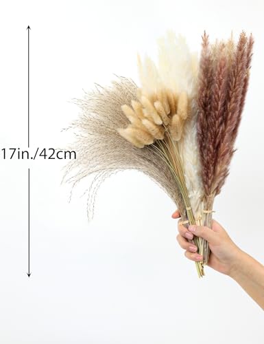 110pcs Dried Pampas Grass (110 Count)