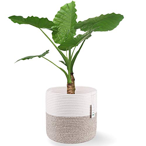 Woven Cotton Rope Plant Basket for 11 Pot
