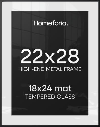 22x28 Black Poster Frame