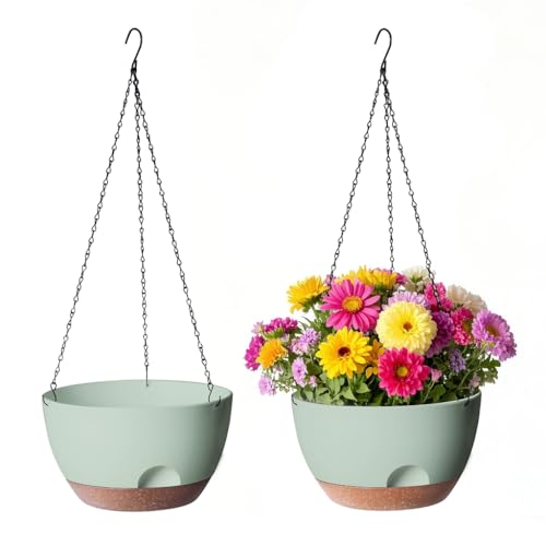12 Inch Hanging Baskets for Plants Outdoor (2 Count)