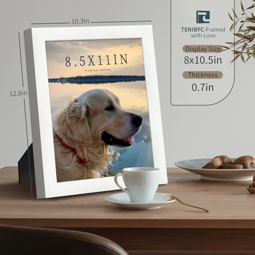 8.5 by 11 picture frame 3 Pack (3 Count)