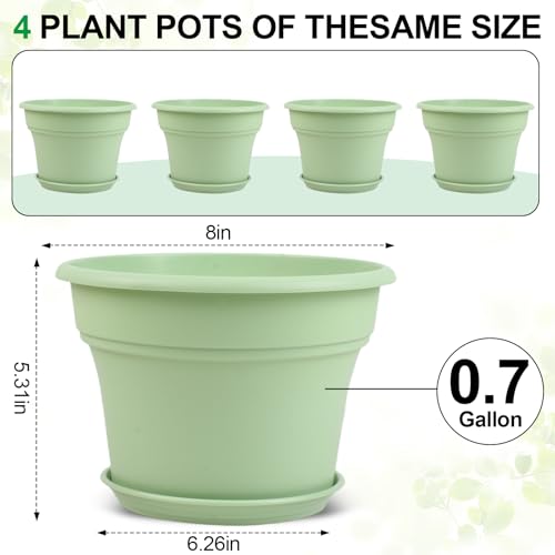 8 Inch Plastic (4 Count)