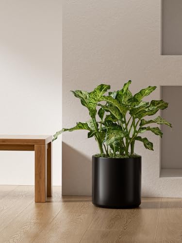 12 Inch Pot for Plants
