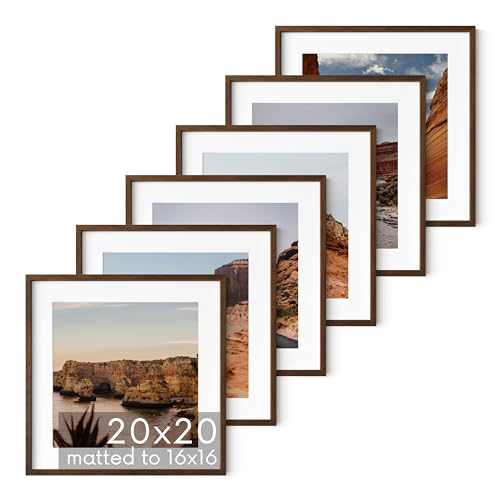 Walnut Oak Wood 20x20 Picture Frames (6 Count)