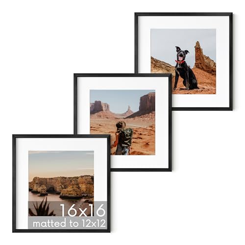16x16 Black Metal Picture Frames Matted to 12x12 (3 Count)
