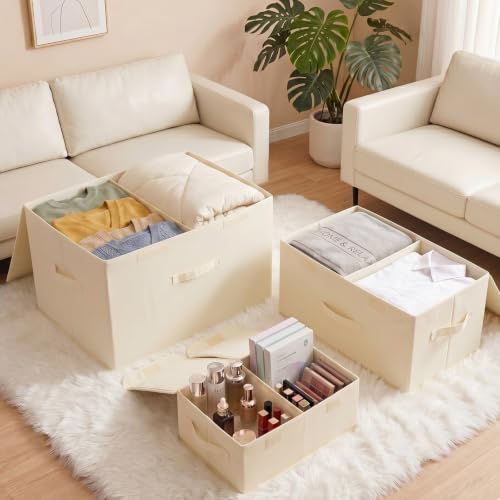 2 Pack Storage Boxes with Lids and Handles (2 Count)