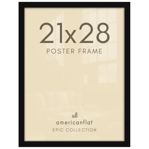 21x28 Poster Frame