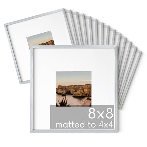 8x8 Silver Metal Picture Frames Matted to 4x4