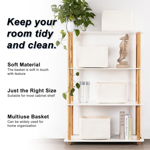 4 Pack Storage Baskets for Organizing (4 Count)