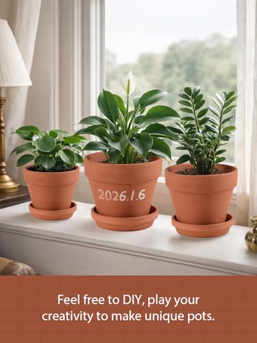 Terracotta Pots Set with Saucer (3 Count)
