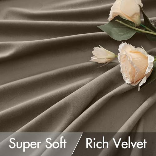 Taupe Velvet Pinch Pleat Blackout Curtains W52 X L84 Inches (2 Count)