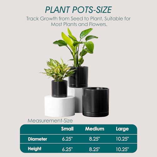 Ceramic Planters (3 Count)