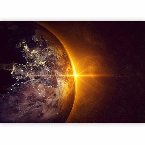 Wall Mural Wallpaper (4 Count)