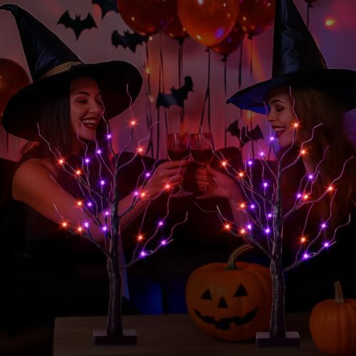 Halloween Decorations Indoor (2 Count)