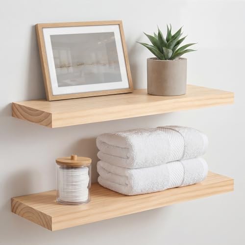 20 Inch Floating Shelves (2 Count)