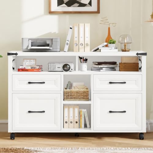 Farmhouse Filing Cabinet with Adjustable Shelf & Wheels