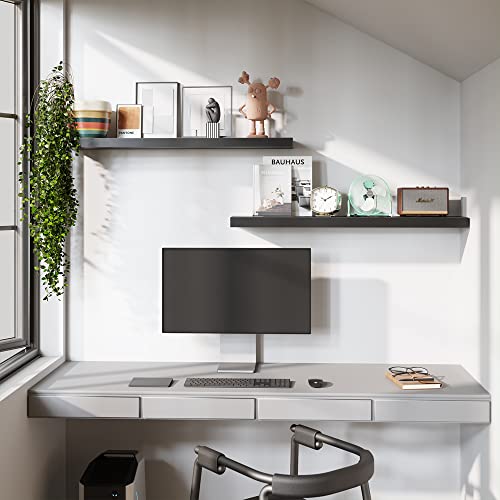 Floating Shelves (2 Count)