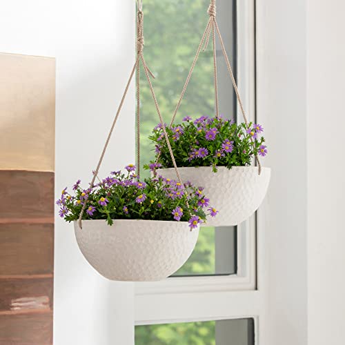 Hanging Planters for Outdoor Plants