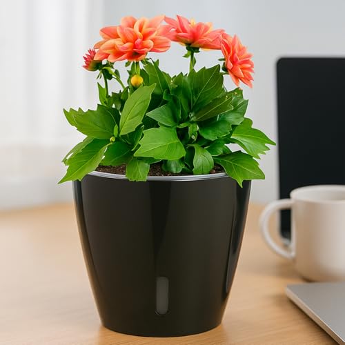 Self Watering Pots for Indoor Plants