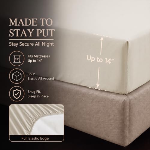 Twin XL Comforter Set Beige