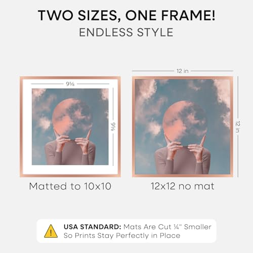 12x12 Rose Picture Frame (2 Count)
