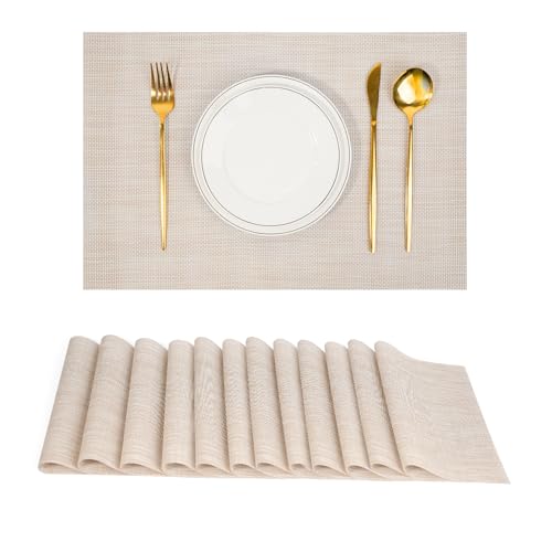 Placemats Set of 12 (12 Count)