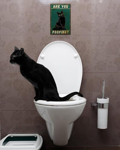 Black Cat Are You Pooping Metal Tin Sign Vintage Bathroom Decor 8x12"