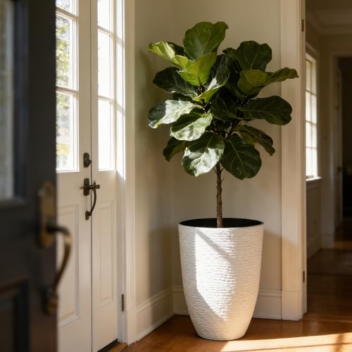 Garden 2 Pack 21" H. White Tall Planters (2 Count)