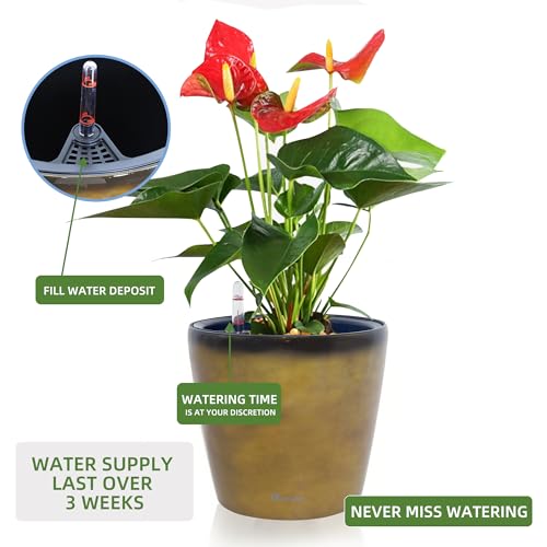 9x8 Self Watering Planter