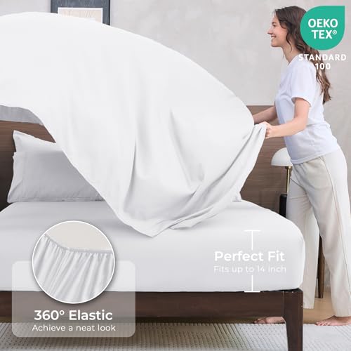 7 Piece Queen Comforter Set