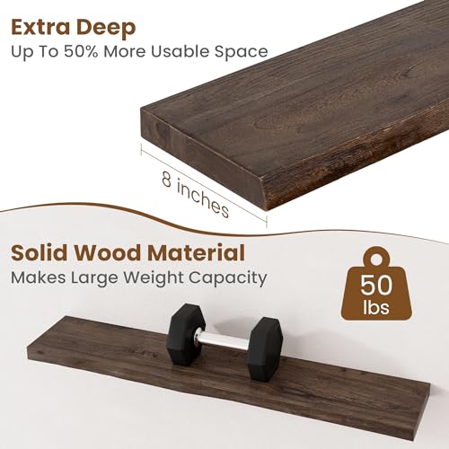 Floating Shelves for Wall Decor (2 Shelves)