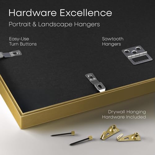 5x10 Gold License Frame