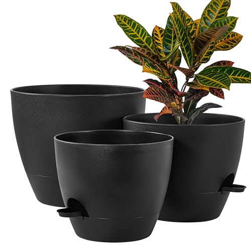 3 Pack Large Planter Pots (3 Count)