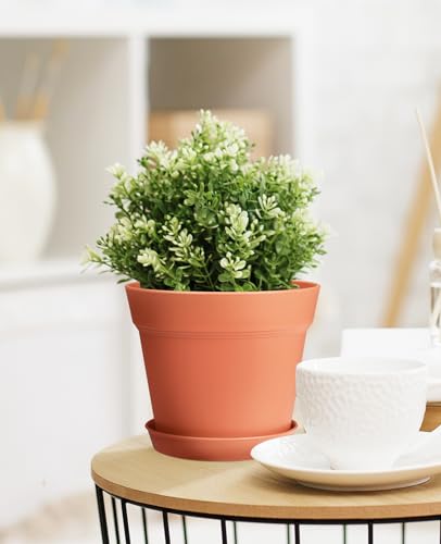 6 Inch Plastic Flower Pots with Drainage Holes and Trays (15 Count)