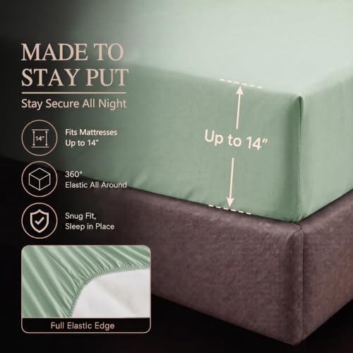 Queen Comforter Set Sage Green