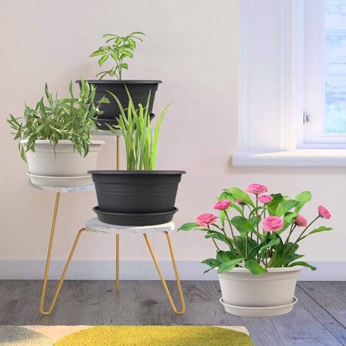 6 Pack 10 inch Plant Pot (6 Count)