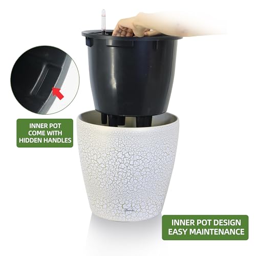 13x12 Self Watering Planter with Wheels