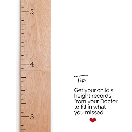 Wood Growth Chart for Wall