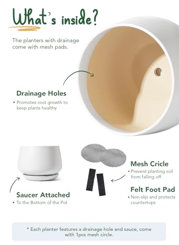 Ceramic Plant Pots (2 Count)