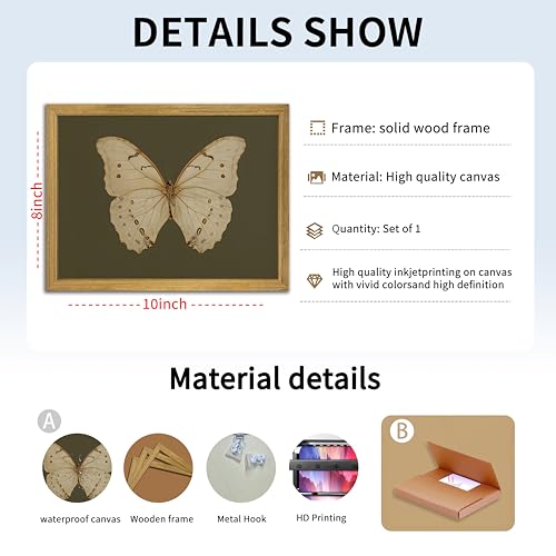 Wood Framed Butterfly Wall Art