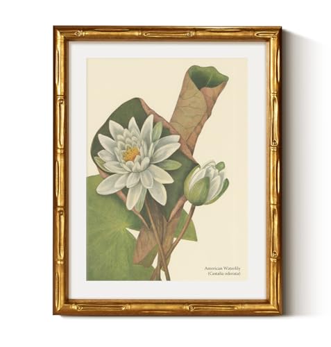 Gold Bamboo Framed Wall Art