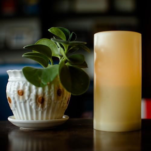 Outdoor Battery Operated Flameless LED Pillar Candle with Timer D3”xH6”