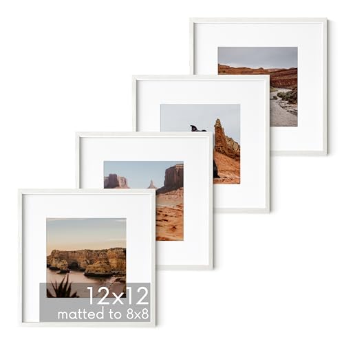 White Oak Wood 12x12 Picture Frames (4 Count)