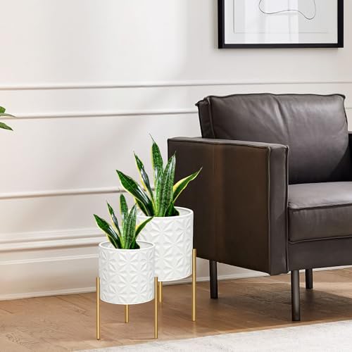 Plant Pots with Stand (2 Count)