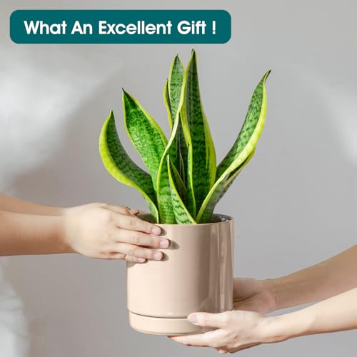 Ceramic Planters (3 Count)
