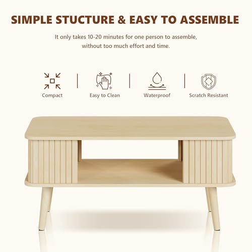 Coffee Table with Storage
