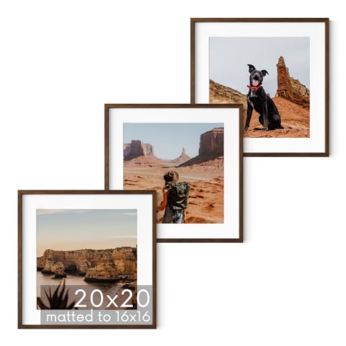 Walnut Oak Wood 20x20 Picture Frames (3 Count)