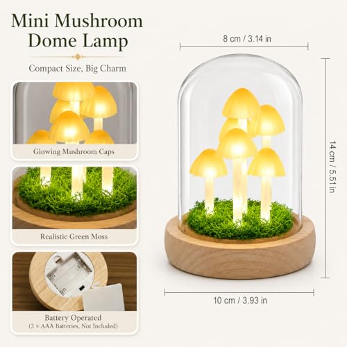 Mushroom Lamp in Glass Dome