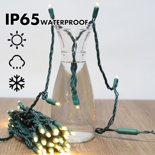 1200LED 24pk of 50L (1200 Count)