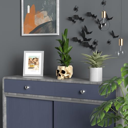 Skull Planter with Drain Hole